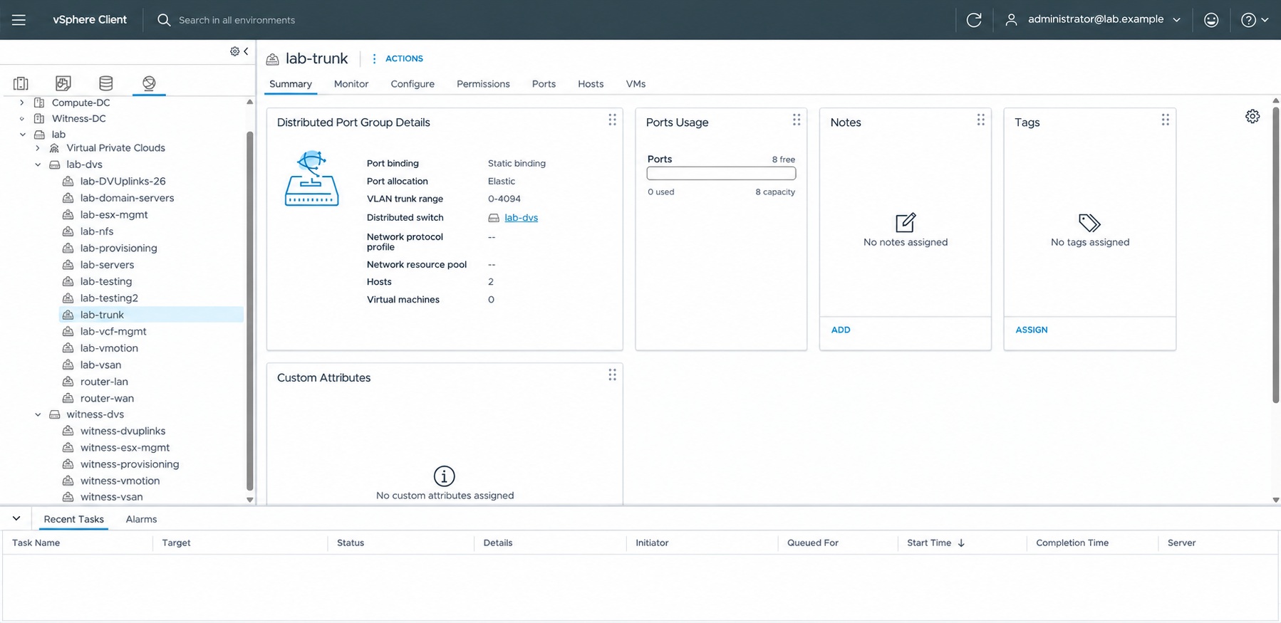 Distributed port groups for the two-node vSAN ESA cluster and witness networks.