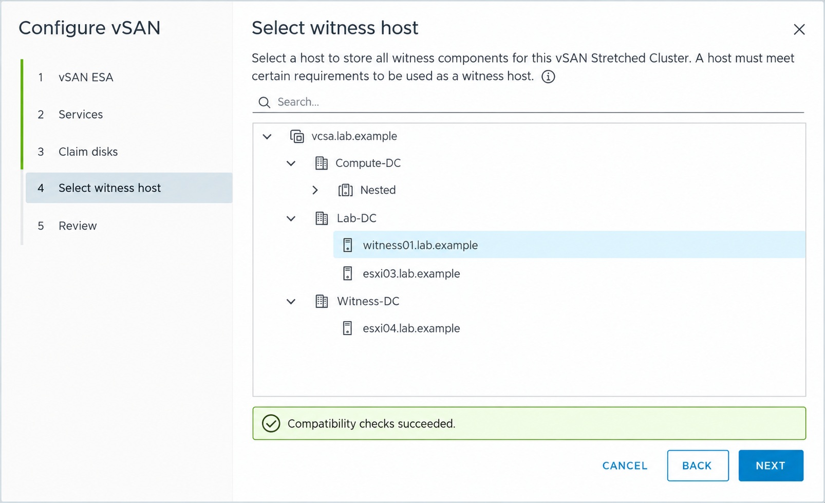 Select the compatible ESA Witness Appliance for the two-node vSAN ESA cluster.